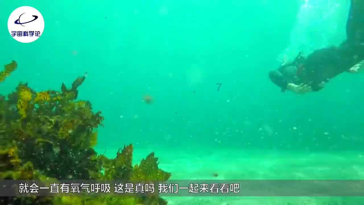 还君一梦之穿越